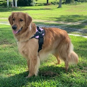 Meet your Posher, Janet